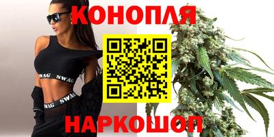 не бодяженный Гай
