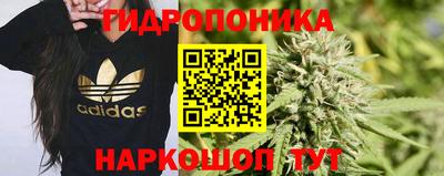 прущие грибы Гатчина