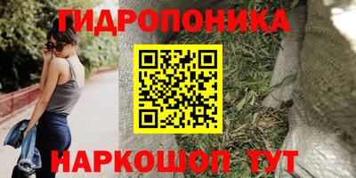 не бодяженный Гай