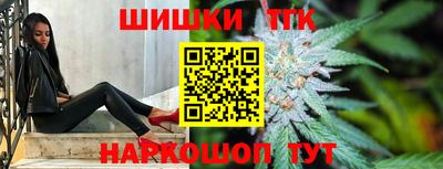 прущие грибы Гатчина