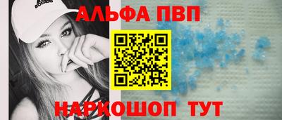 прущие грибы Гатчина
