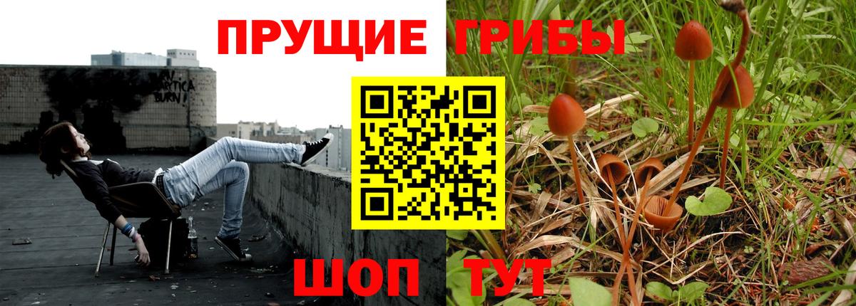 Псилоцибиновые грибы ЛСД  Вход с VPN  Мурино 